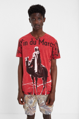 Футболка Desigual 20SMTKX3