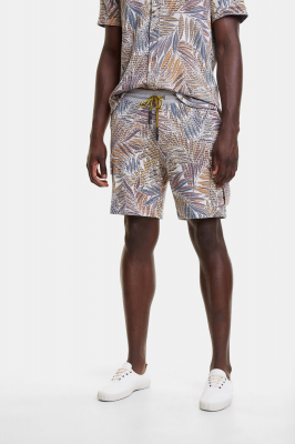 Шорты Desigual 20SMPK05